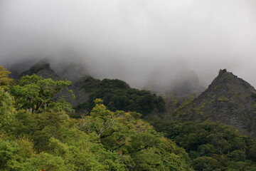 濃い霧と切り立った岩山で険しい様子の鳥取県の伯耆大山南壁