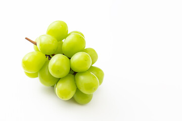 白背景にシャインマスカット