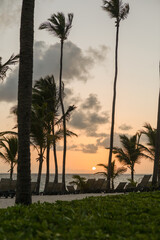 Landscape of a beach with palm trees and sunset in the background, scene of tranquility and peace, nature