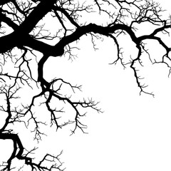 Dead branches, Silhouette dead tree or dry tree on white with clipping path isolated on white and transparent background. PNG cutout.