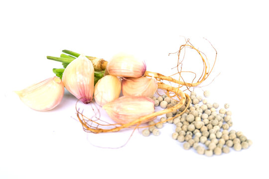 Coriander root, garlic and white pepper, Thai spice, broth seasoning, use to marinate meat before cooking, isolated on white background close up