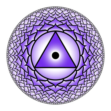 Sahasrara, thousand-petalled crown chakra. Seventh chakra, located on the top of the head. Highest spiritual centre and pure consciousness. Violet lotus with 1000 petals and a bindu in the center.