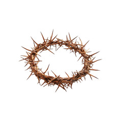 Crown of Thorns