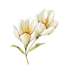 Obraz premium Delicate flower art in light pastel tones