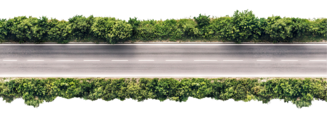 Aerial view of a straight asphalt road lined with trees, isolated on transparent cutout background