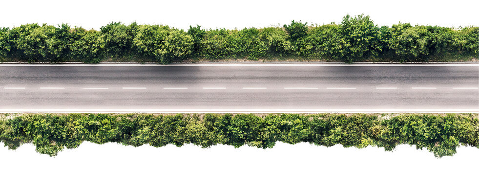 Aerial view of a straight asphalt road lined with trees, isolated on transparent cutout background