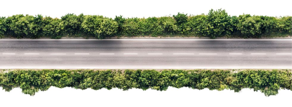 Aerial view of a straight asphalt road lined with trees, isolated on transparent cutout background