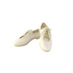 White Casual Sneakers with Laces