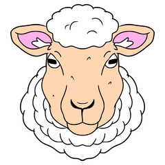 sheep face illustration hand drawn isolated vector