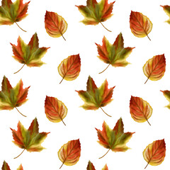 Pattern of autumn leaves. Maple and birch. Yellow and green leaves. No background. watercolor illustration.
