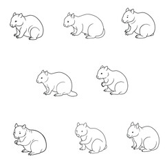 Wombat Grooming Line Art Vector 