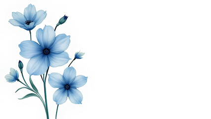 Obraz premium Png blue watercolor flower pattern with white background