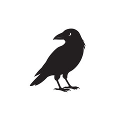 Fototapeta premium A striking silhouette of a crow