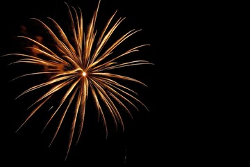 Obraz premium Vibrant Fireworks Lighting Up the Night Sky