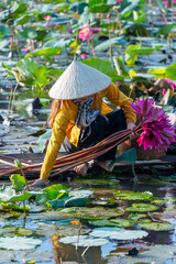 Obraz premium view of rural Vietnamese girl in Moc Hoa district, Long An province, Mekong Delta are harvesting water lilies. Water lily is a traditional dish here.