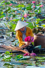 view of rural Vietnamese girl in Moc Hoa district, Long An province, Mekong Delta are harvesting water lilies. Water lily is a traditional dish here.
