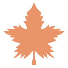 autumn maple leaf