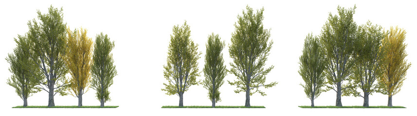 Trees, flowers, grass, low bushes rendered with 3dsmax 