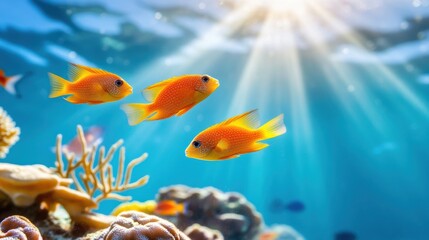 Naklejka premium Colorful Fish Swimming in Clear Tropical Water