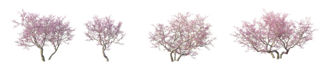 Trees, flowers, grass, low bushes rendered with 3dsmax 