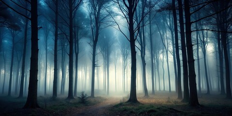 Obraz premium Dark and mystical foggy forest with black trees. Spooky atmospheric Halloween wallpaper header background. Minimalist