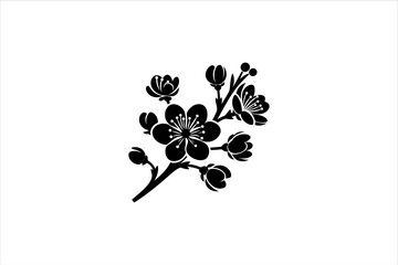 Cherry blossom on branch Silhouette isolated. Cherry blossom Silhouette.