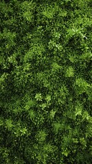 Obraz premium Serene Mossy Wonderland. Nature-inspired texture concept