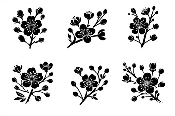 Cherry blossom on branch Silhouette Bundle isolated. Cherry blossom Silhouette set.