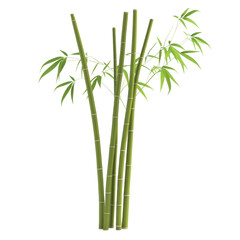 Fresh Bamboo Stalks with Lush Green Leaves on Transparent Background