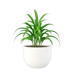Lush Green Plant in Minimalist White Pot on Transparent Background