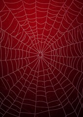 Obraz premium Asymmetrical spiderweb with fine white lines on a dark red background, perfect for Halloween designs, spooky decor, and web-inspired patterns