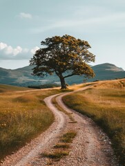 Fototapeta premium A winding dirt road leads through a grassy field with a lone tree and hills in the distance. AI.