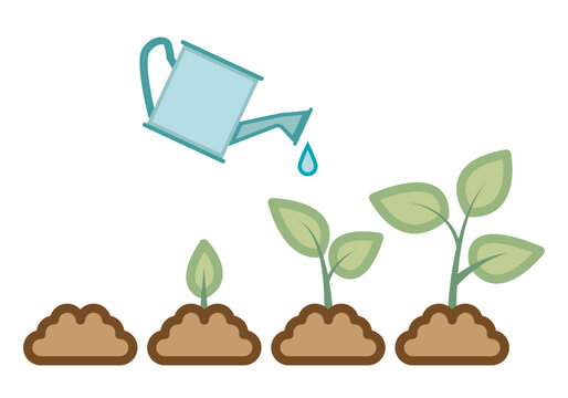 Crecimiento y desarrollo de una planta con regadera azul