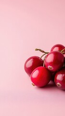 Single cranberry isolated on a bright, colorful background for emphasis.