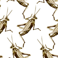 Pattern of large grasshoppers and locusts. Insects run in different directions. Grey, beige and brown. Watercolor illustration.