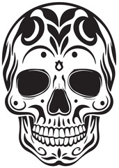  human skull vector and illustration