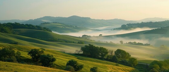 Obraz premium Serene Misty Landscape with Rolling Green Hills