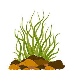 aquarium seaweed vector