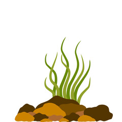 aquarium seaweed vector