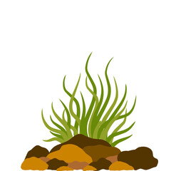 aquarium seaweed vector