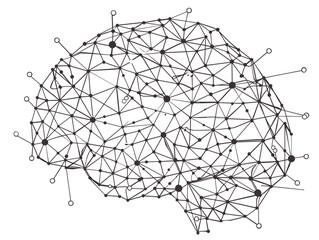 One-Line Brain: Neural Pathways and Cognitive Function in an Interconnected Mind