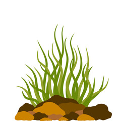 aquarium seaweed vector