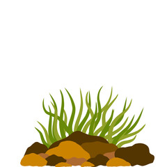 aquarium seaweed vector
