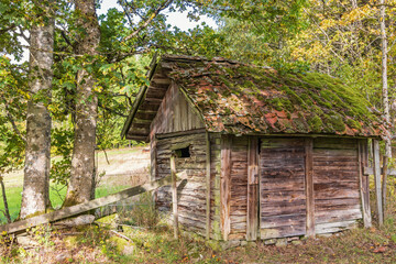 Obraz premium Idyllic old worn wooden shed in a pasture
