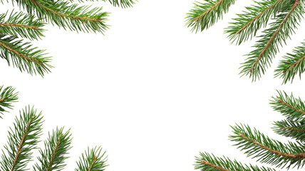 Lush Green Pine Branches  on transparent background