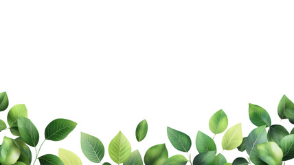 Fototapeta premium Lush Green Leaves Border Design for Backgrounds , transparent background