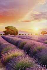 Fototapeta premium Lavender Field at Sunset. Capturing Nature’s Tranquil Beauty. Travel and Tourism, Environmental Appreciation.