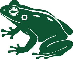 green frog on white background