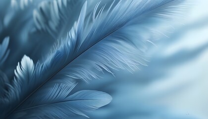 Serene close-up of soft blue feathers creating an abstract backdrop of tranquility and beauty