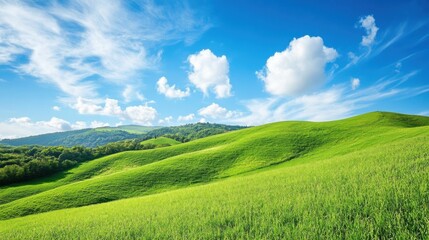 Obraz premium A beautiful, lush green field with a clear blue sky